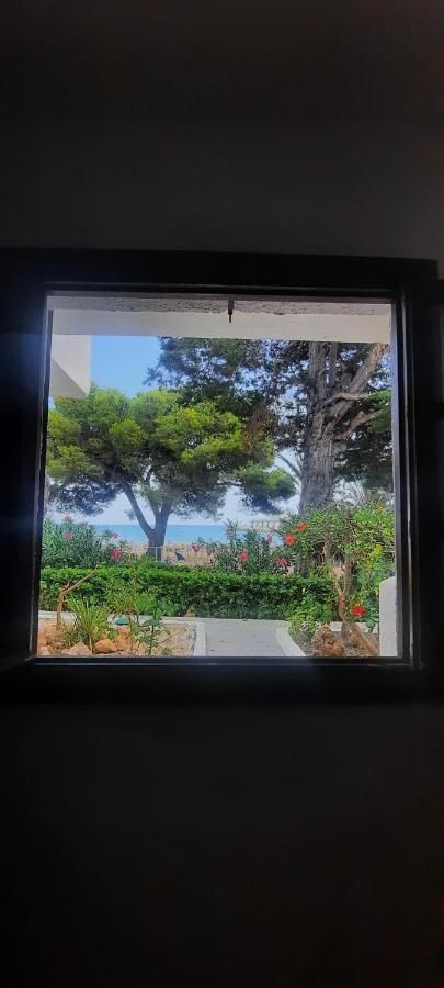 Apartamento Frente Al Mar Alcoceber ภายนอก รูปภาพ